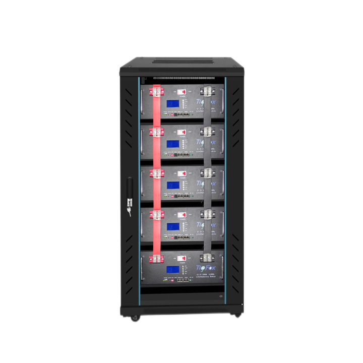 Lithium Ion Lifepo4 Battery Pack